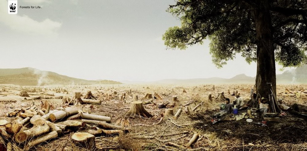 Nạn phá rừng toàn cầu